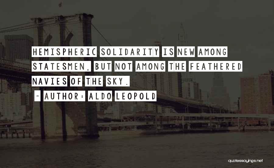 Aldo Leopold Quotes: Hemispheric Solidarity Is New Among Statesmen, But Not Among The Feathered Navies Of The Sky.
