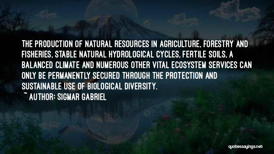 Sigmar Gabriel Quotes: The Production Of Natural Resources In Agriculture, Forestry And Fisheries, Stable Natural Hydrological Cycles, Fertile Soils, A Balanced Climate And