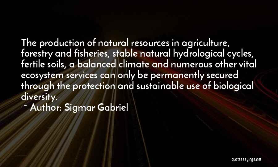 Sigmar Gabriel Quotes: The Production Of Natural Resources In Agriculture, Forestry And Fisheries, Stable Natural Hydrological Cycles, Fertile Soils, A Balanced Climate And