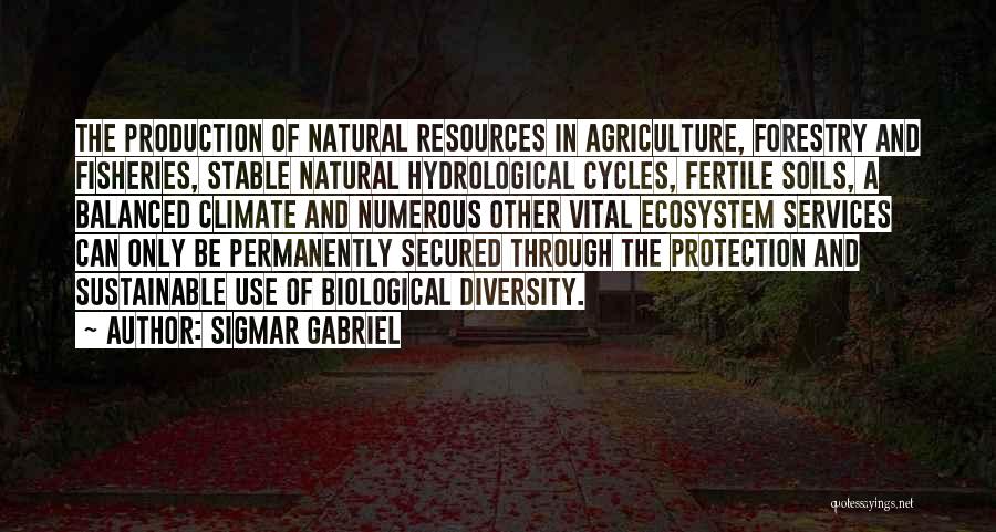 Sigmar Gabriel Quotes: The Production Of Natural Resources In Agriculture, Forestry And Fisheries, Stable Natural Hydrological Cycles, Fertile Soils, A Balanced Climate And