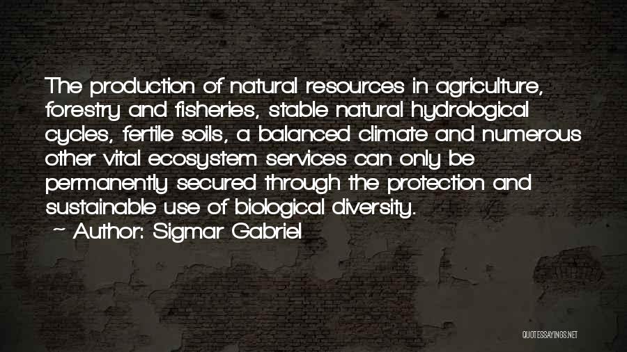 Sigmar Gabriel Quotes: The Production Of Natural Resources In Agriculture, Forestry And Fisheries, Stable Natural Hydrological Cycles, Fertile Soils, A Balanced Climate And