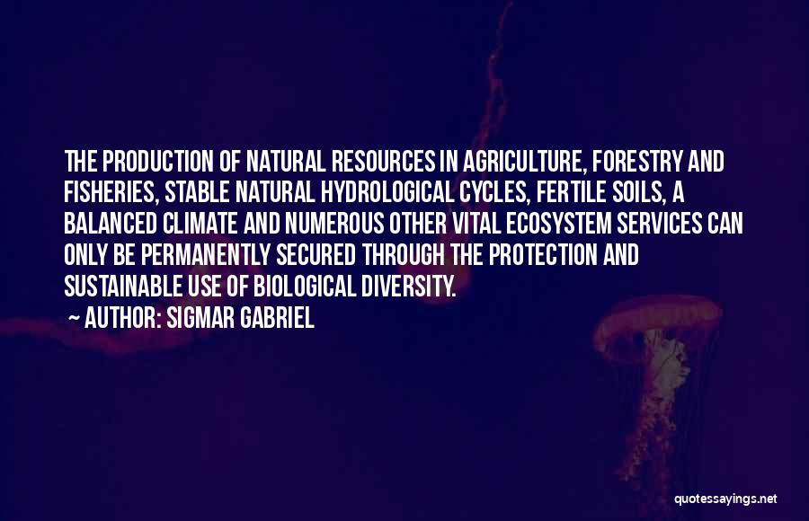 Sigmar Gabriel Quotes: The Production Of Natural Resources In Agriculture, Forestry And Fisheries, Stable Natural Hydrological Cycles, Fertile Soils, A Balanced Climate And