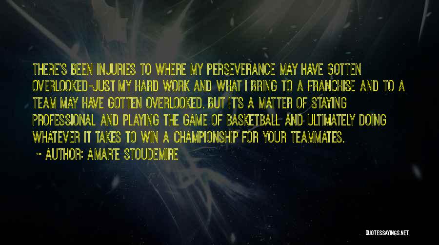 Amar'e Stoudemire Quotes: There's Been Injuries To Where My Perseverance May Have Gotten Overlooked-just My Hard Work And What I Bring To A