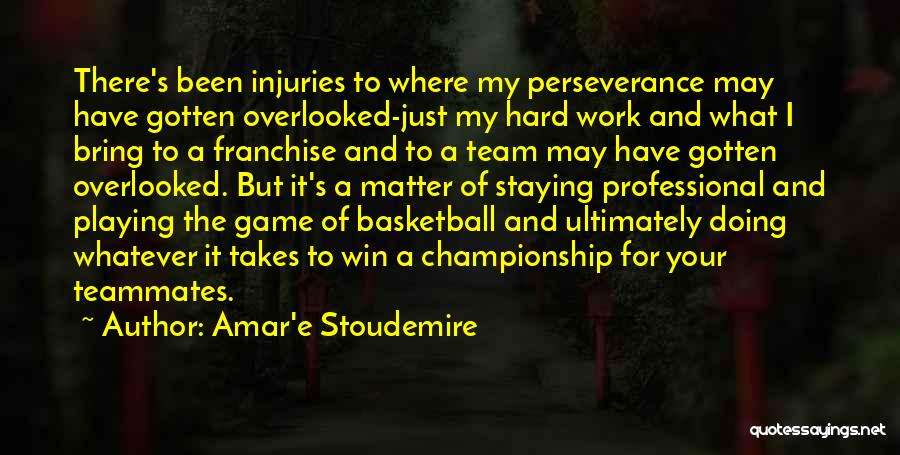 Amar'e Stoudemire Quotes: There's Been Injuries To Where My Perseverance May Have Gotten Overlooked-just My Hard Work And What I Bring To A
