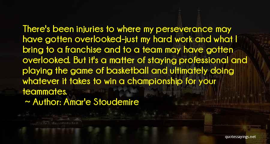 Amar'e Stoudemire Quotes: There's Been Injuries To Where My Perseverance May Have Gotten Overlooked-just My Hard Work And What I Bring To A