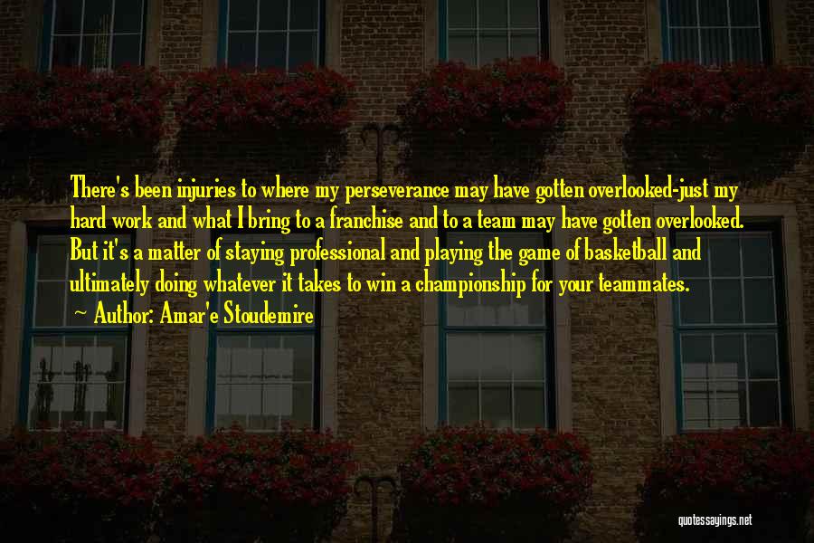 Amar'e Stoudemire Quotes: There's Been Injuries To Where My Perseverance May Have Gotten Overlooked-just My Hard Work And What I Bring To A