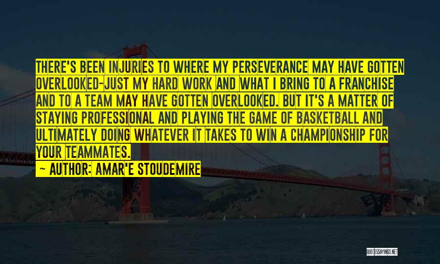 Amar'e Stoudemire Quotes: There's Been Injuries To Where My Perseverance May Have Gotten Overlooked-just My Hard Work And What I Bring To A