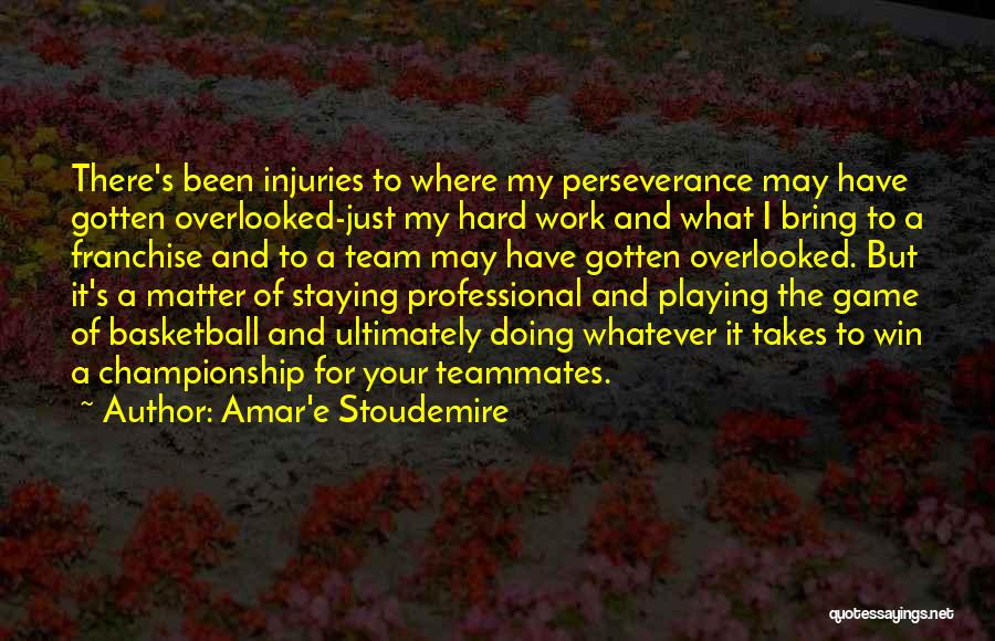 Amar'e Stoudemire Quotes: There's Been Injuries To Where My Perseverance May Have Gotten Overlooked-just My Hard Work And What I Bring To A