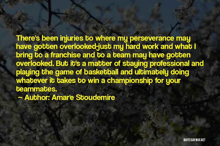 Amar'e Stoudemire Quotes: There's Been Injuries To Where My Perseverance May Have Gotten Overlooked-just My Hard Work And What I Bring To A