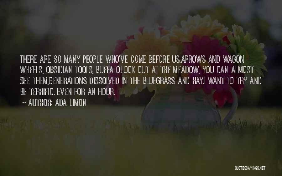 Ada Limon Quotes: There Are So Many People Who've Come Before Us,arrows And Wagon Wheels, Obsidian Tools, Buffalo.look Out At The Meadow, You