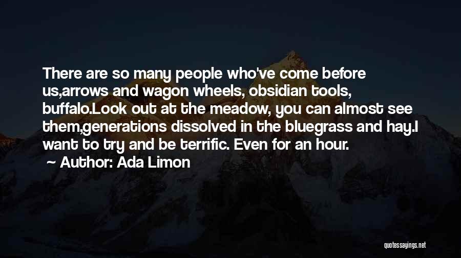 Ada Limon Quotes: There Are So Many People Who've Come Before Us,arrows And Wagon Wheels, Obsidian Tools, Buffalo.look Out At The Meadow, You