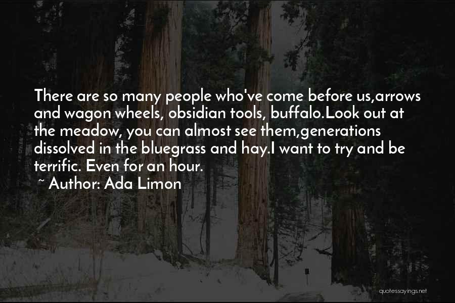 Ada Limon Quotes: There Are So Many People Who've Come Before Us,arrows And Wagon Wheels, Obsidian Tools, Buffalo.look Out At The Meadow, You