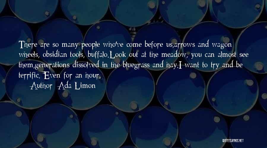 Ada Limon Quotes: There Are So Many People Who've Come Before Us,arrows And Wagon Wheels, Obsidian Tools, Buffalo.look Out At The Meadow, You