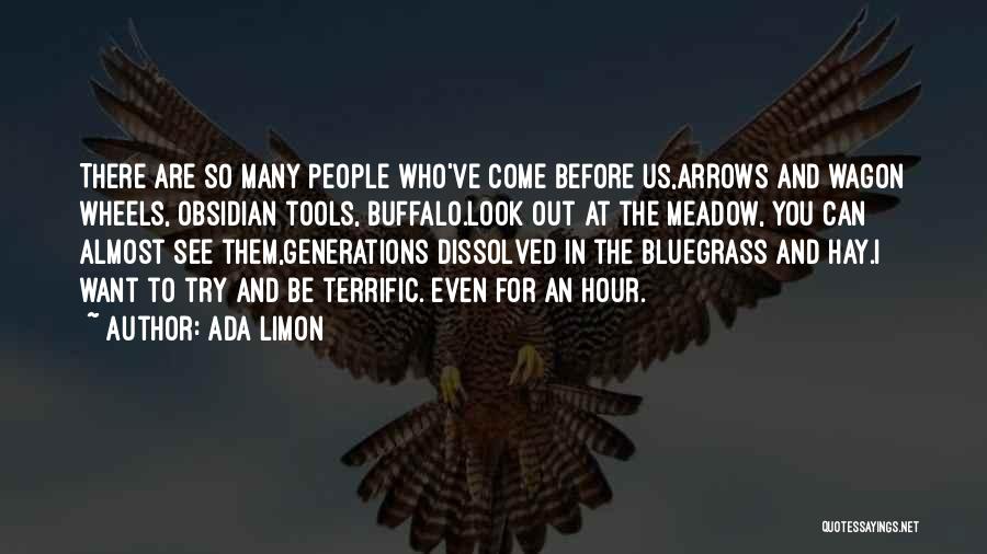 Ada Limon Quotes: There Are So Many People Who've Come Before Us,arrows And Wagon Wheels, Obsidian Tools, Buffalo.look Out At The Meadow, You