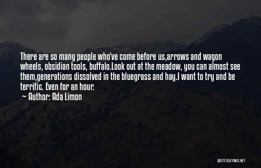 Ada Limon Quotes: There Are So Many People Who've Come Before Us,arrows And Wagon Wheels, Obsidian Tools, Buffalo.look Out At The Meadow, You