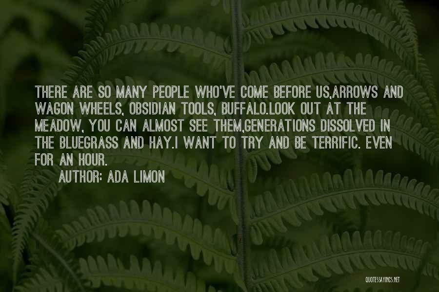 Ada Limon Quotes: There Are So Many People Who've Come Before Us,arrows And Wagon Wheels, Obsidian Tools, Buffalo.look Out At The Meadow, You