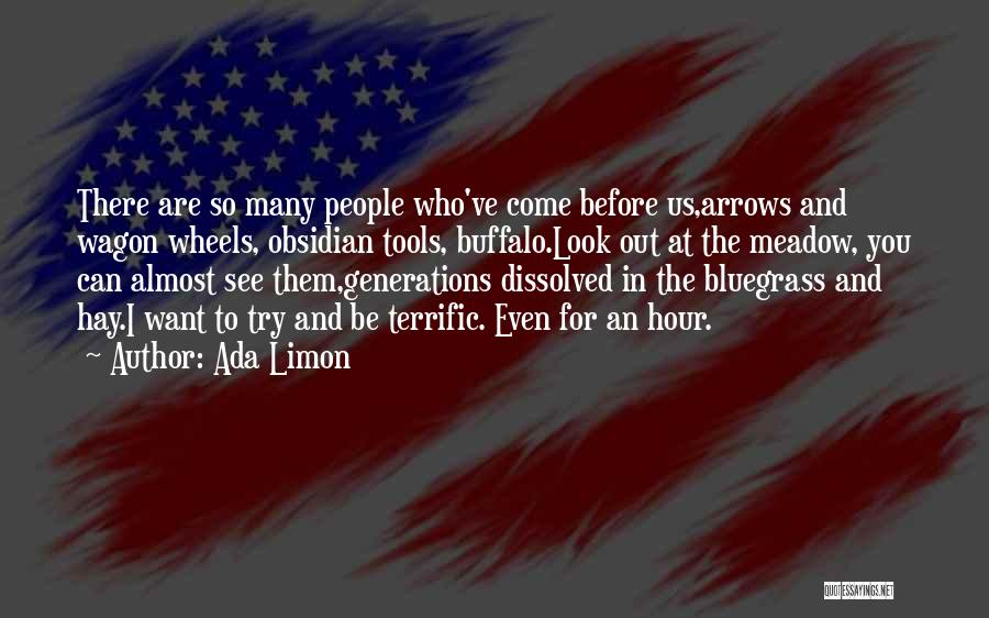 Ada Limon Quotes: There Are So Many People Who've Come Before Us,arrows And Wagon Wheels, Obsidian Tools, Buffalo.look Out At The Meadow, You