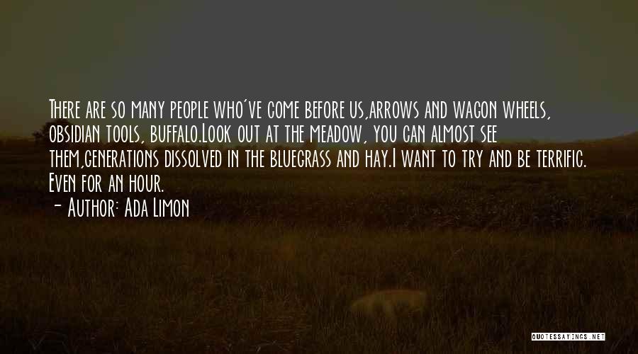 Ada Limon Quotes: There Are So Many People Who've Come Before Us,arrows And Wagon Wheels, Obsidian Tools, Buffalo.look Out At The Meadow, You