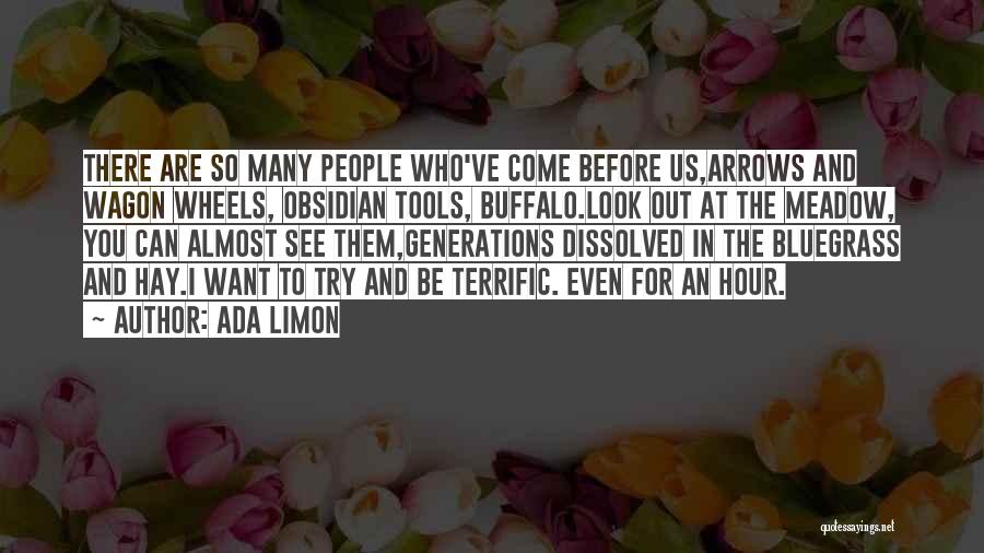 Ada Limon Quotes: There Are So Many People Who've Come Before Us,arrows And Wagon Wheels, Obsidian Tools, Buffalo.look Out At The Meadow, You