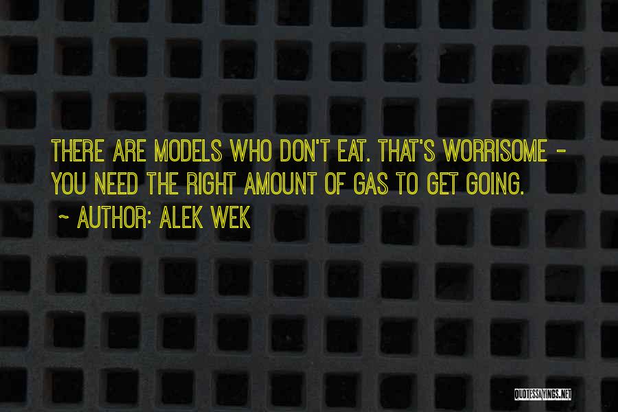 Alek Wek Quotes: There Are Models Who Don't Eat. That's Worrisome - You Need The Right Amount Of Gas To Get Going.