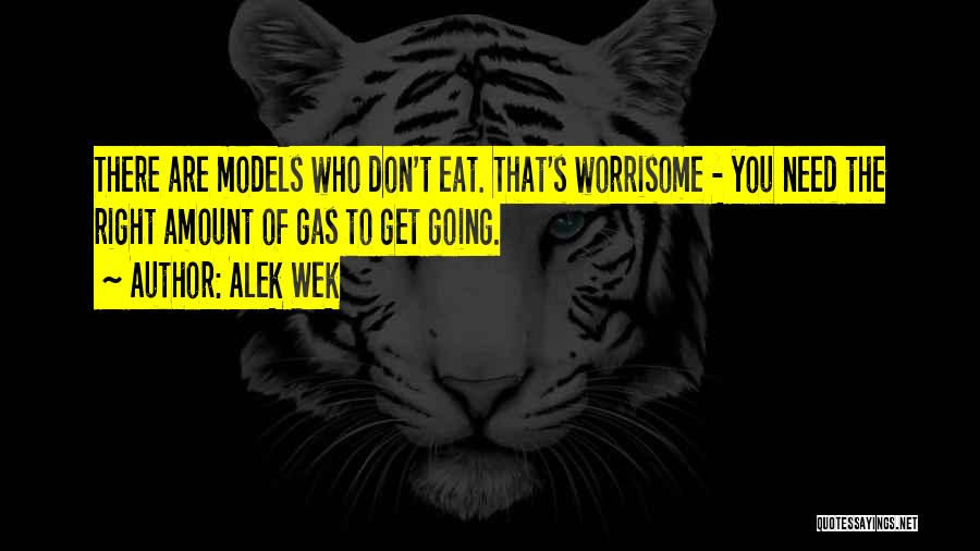 Alek Wek Quotes: There Are Models Who Don't Eat. That's Worrisome - You Need The Right Amount Of Gas To Get Going.