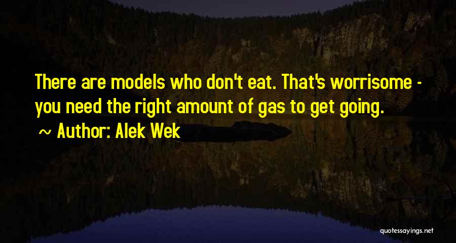 Alek Wek Quotes: There Are Models Who Don't Eat. That's Worrisome - You Need The Right Amount Of Gas To Get Going.