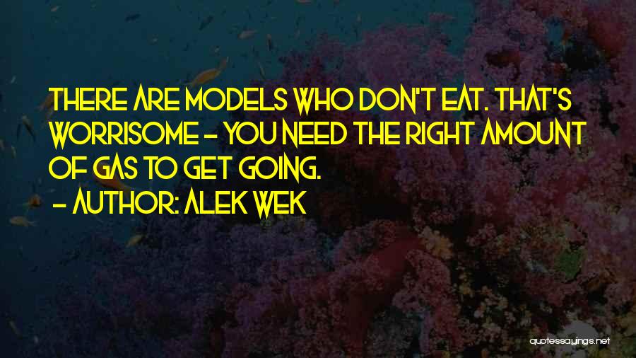 Alek Wek Quotes: There Are Models Who Don't Eat. That's Worrisome - You Need The Right Amount Of Gas To Get Going.