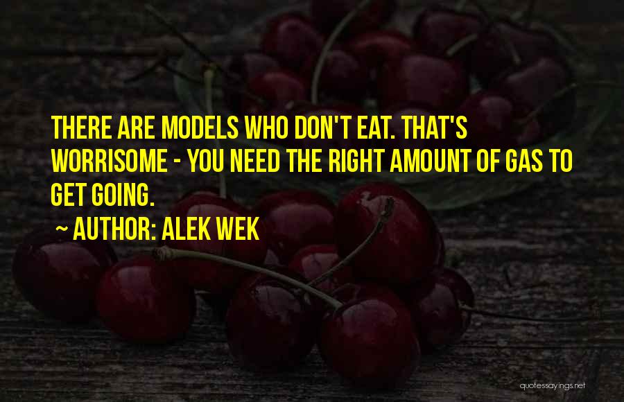 Alek Wek Quotes: There Are Models Who Don't Eat. That's Worrisome - You Need The Right Amount Of Gas To Get Going.