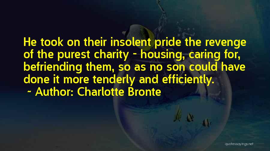 Charlotte Bronte Quotes: He Took On Their Insolent Pride The Revenge Of The Purest Charity - Housing, Caring For, Befriending Them, So As
