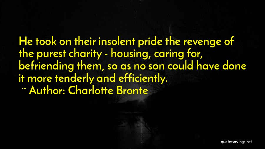 Charlotte Bronte Quotes: He Took On Their Insolent Pride The Revenge Of The Purest Charity - Housing, Caring For, Befriending Them, So As