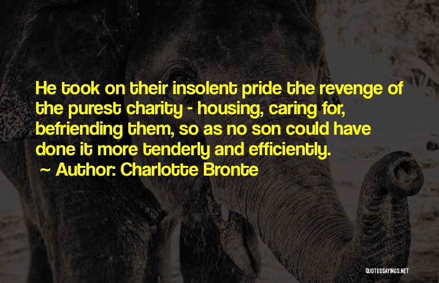 Charlotte Bronte Quotes: He Took On Their Insolent Pride The Revenge Of The Purest Charity - Housing, Caring For, Befriending Them, So As