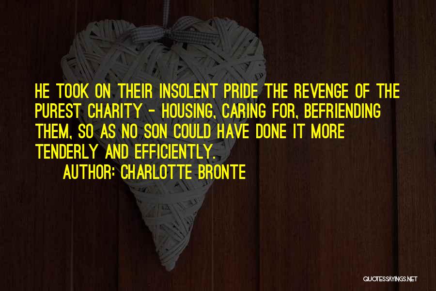 Charlotte Bronte Quotes: He Took On Their Insolent Pride The Revenge Of The Purest Charity - Housing, Caring For, Befriending Them, So As