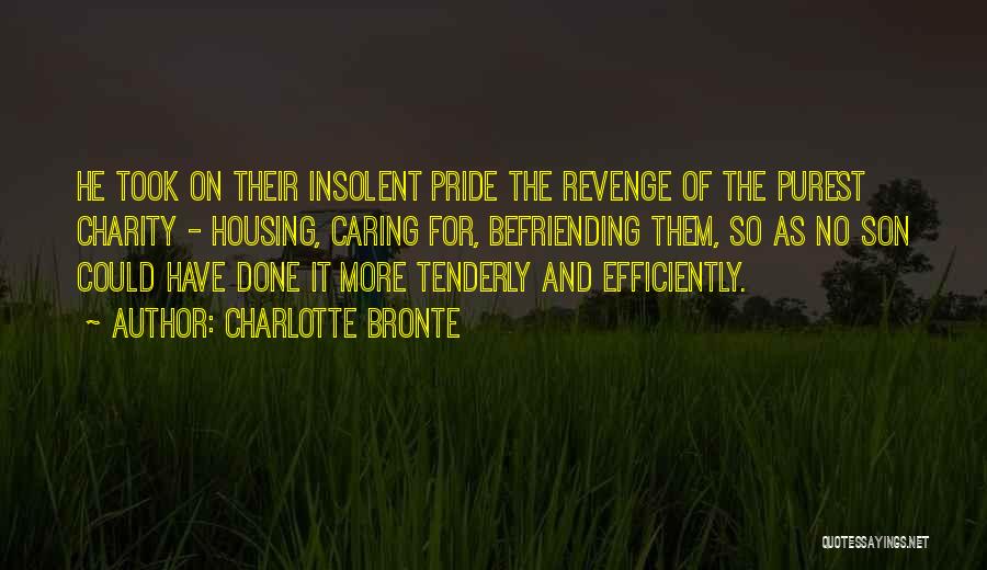 Charlotte Bronte Quotes: He Took On Their Insolent Pride The Revenge Of The Purest Charity - Housing, Caring For, Befriending Them, So As