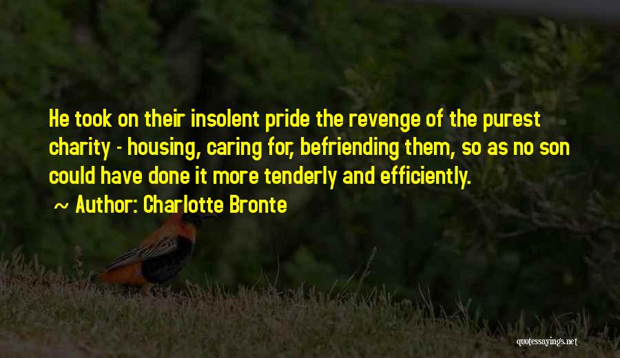 Charlotte Bronte Quotes: He Took On Their Insolent Pride The Revenge Of The Purest Charity - Housing, Caring For, Befriending Them, So As