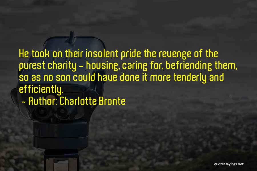 Charlotte Bronte Quotes: He Took On Their Insolent Pride The Revenge Of The Purest Charity - Housing, Caring For, Befriending Them, So As