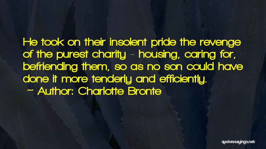 Charlotte Bronte Quotes: He Took On Their Insolent Pride The Revenge Of The Purest Charity - Housing, Caring For, Befriending Them, So As