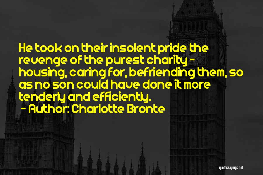 Charlotte Bronte Quotes: He Took On Their Insolent Pride The Revenge Of The Purest Charity - Housing, Caring For, Befriending Them, So As