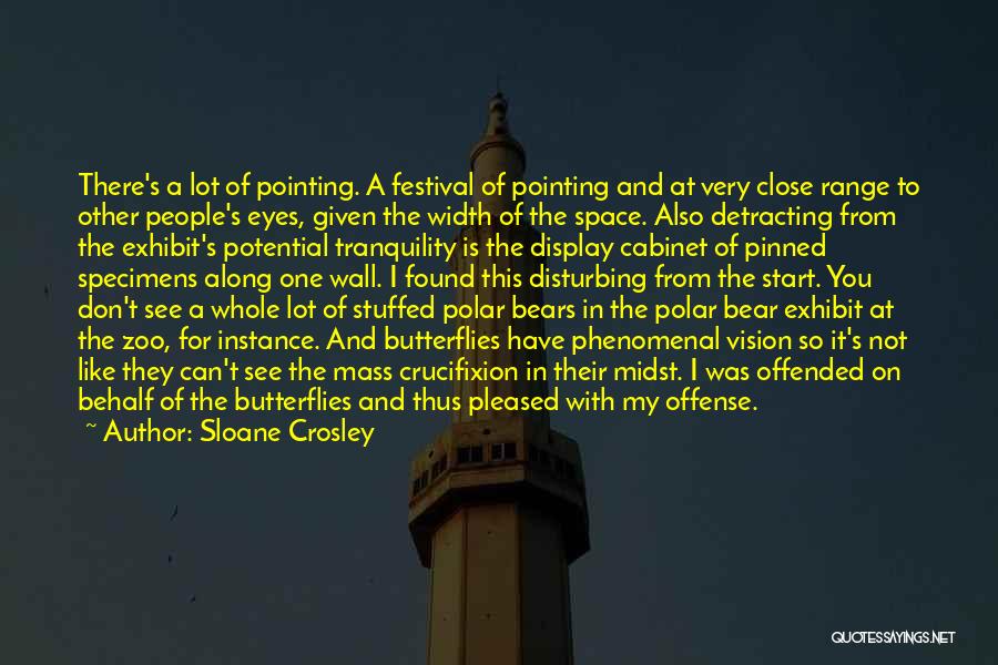 Sloane Crosley Quotes: There's A Lot Of Pointing. A Festival Of Pointing And At Very Close Range To Other People's Eyes, Given The