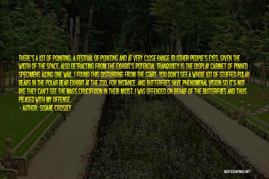 Sloane Crosley Quotes: There's A Lot Of Pointing. A Festival Of Pointing And At Very Close Range To Other People's Eyes, Given The