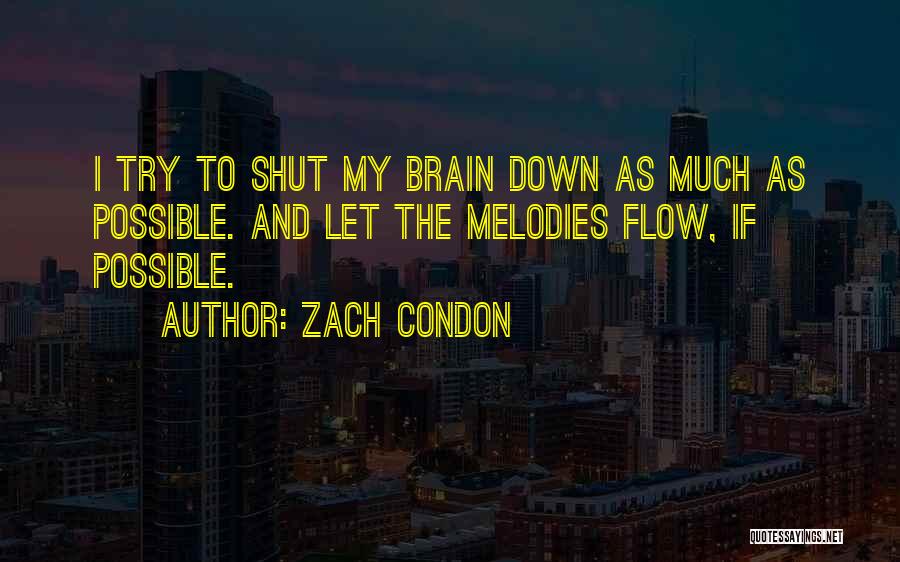 Zach Condon Quotes: I Try To Shut My Brain Down As Much As Possible. And Let The Melodies Flow, If Possible.