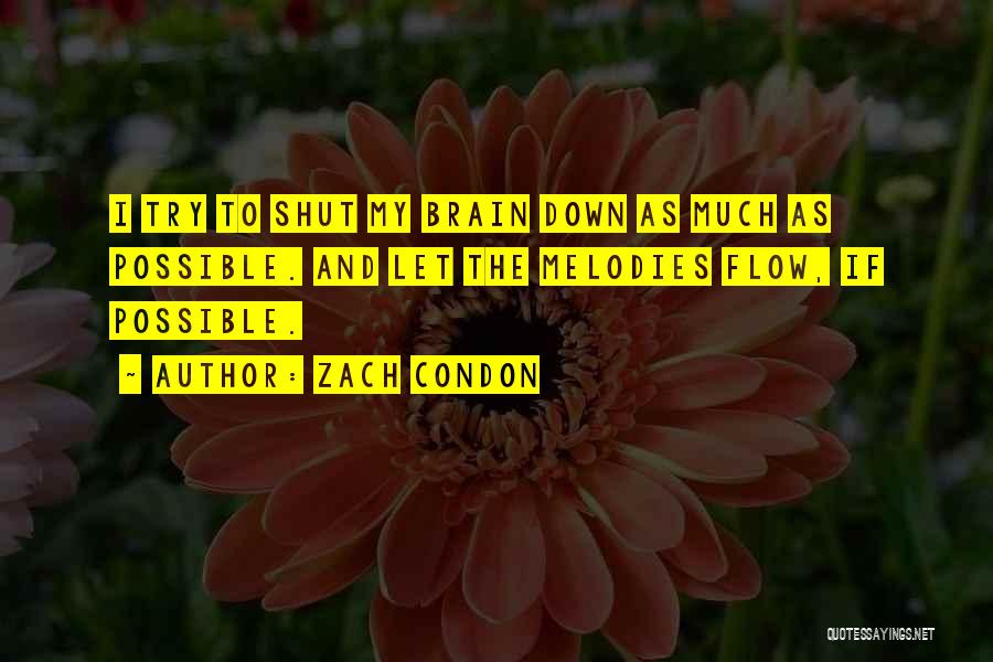 Zach Condon Quotes: I Try To Shut My Brain Down As Much As Possible. And Let The Melodies Flow, If Possible.