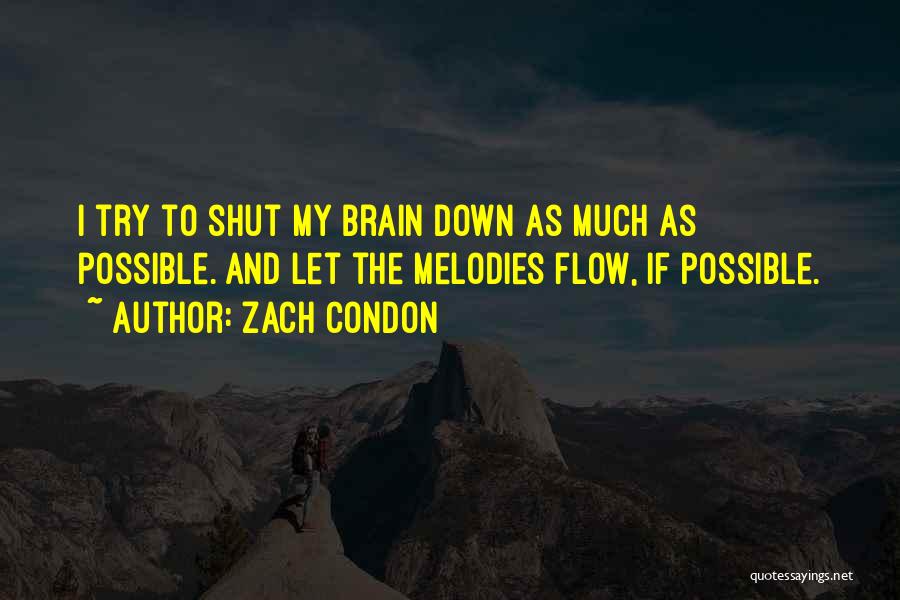 Zach Condon Quotes: I Try To Shut My Brain Down As Much As Possible. And Let The Melodies Flow, If Possible.