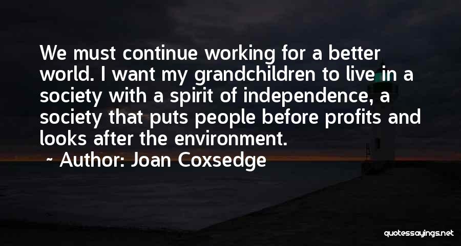 Joan Coxsedge Quotes: We Must Continue Working For A Better World. I Want My Grandchildren To Live In A Society With A Spirit