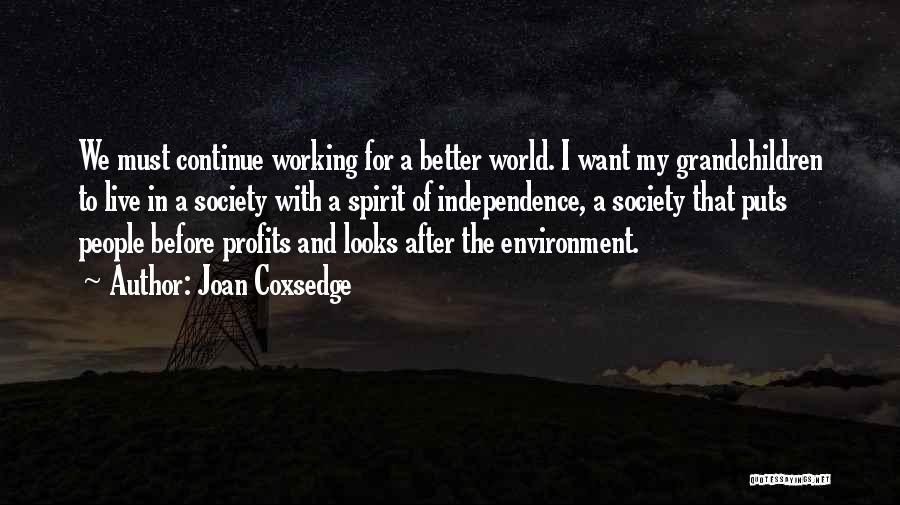 Joan Coxsedge Quotes: We Must Continue Working For A Better World. I Want My Grandchildren To Live In A Society With A Spirit