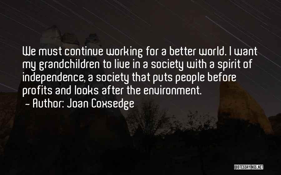 Joan Coxsedge Quotes: We Must Continue Working For A Better World. I Want My Grandchildren To Live In A Society With A Spirit