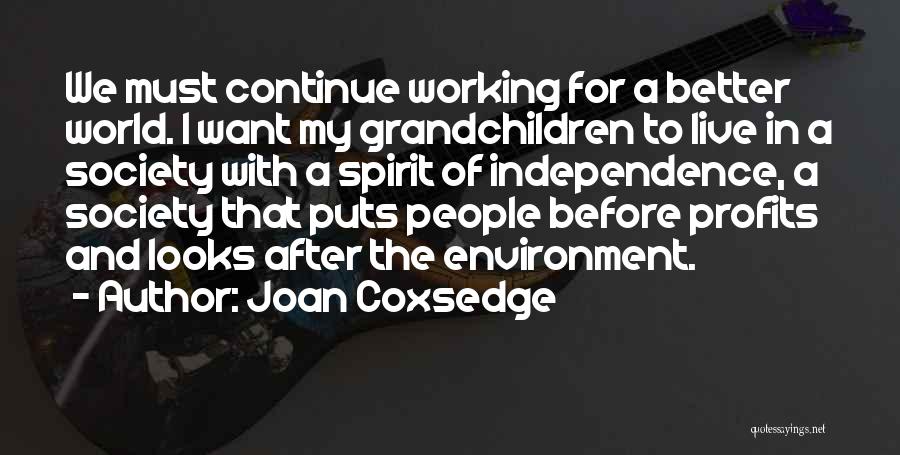 Joan Coxsedge Quotes: We Must Continue Working For A Better World. I Want My Grandchildren To Live In A Society With A Spirit