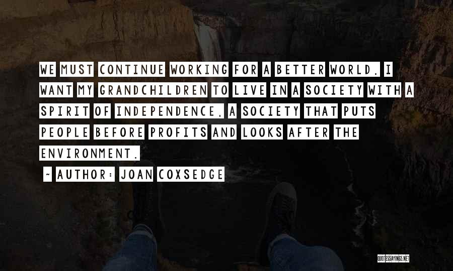 Joan Coxsedge Quotes: We Must Continue Working For A Better World. I Want My Grandchildren To Live In A Society With A Spirit