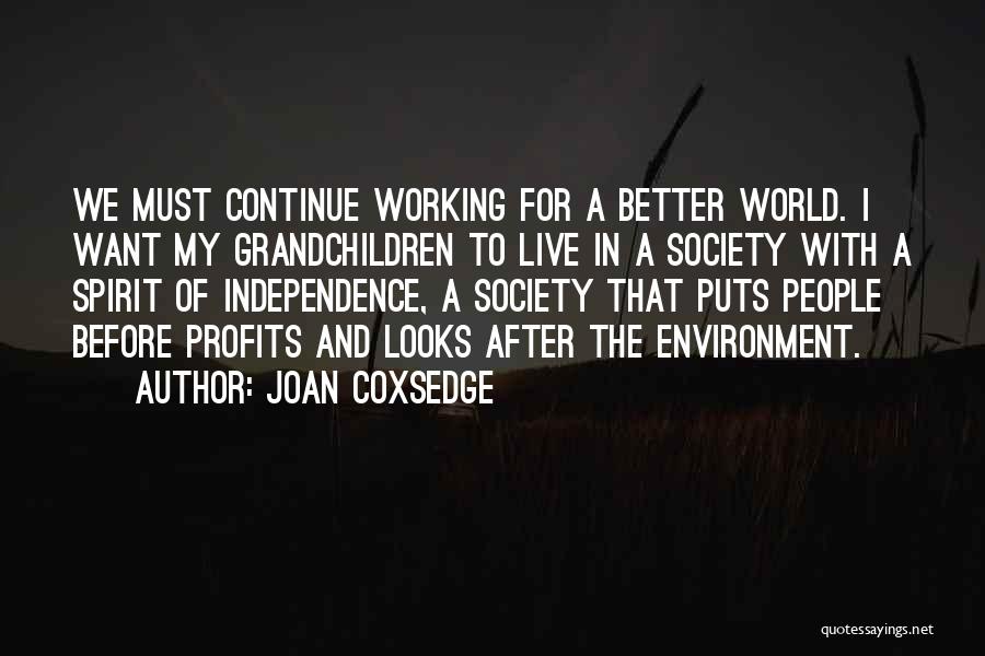 Joan Coxsedge Quotes: We Must Continue Working For A Better World. I Want My Grandchildren To Live In A Society With A Spirit