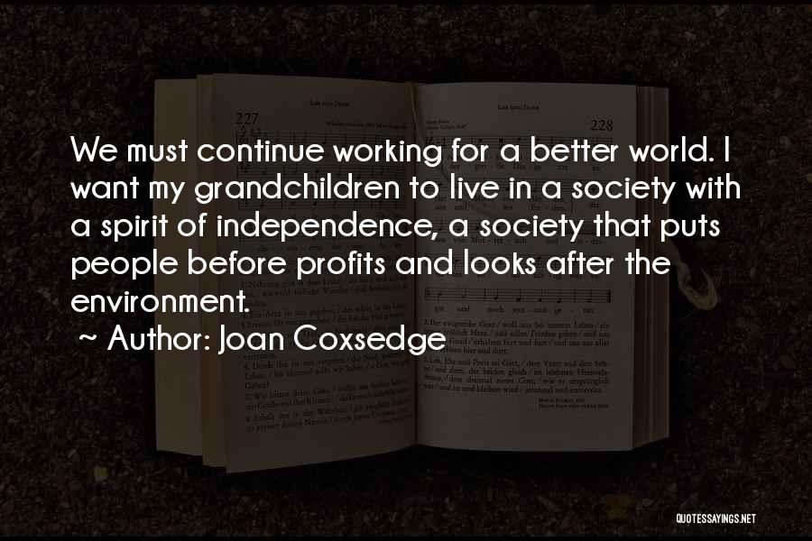 Joan Coxsedge Quotes: We Must Continue Working For A Better World. I Want My Grandchildren To Live In A Society With A Spirit