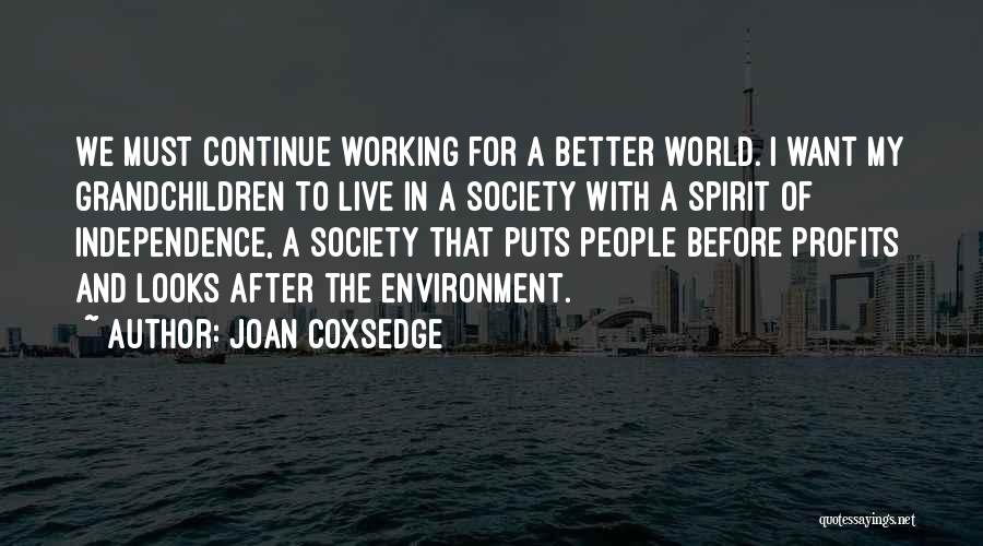 Joan Coxsedge Quotes: We Must Continue Working For A Better World. I Want My Grandchildren To Live In A Society With A Spirit